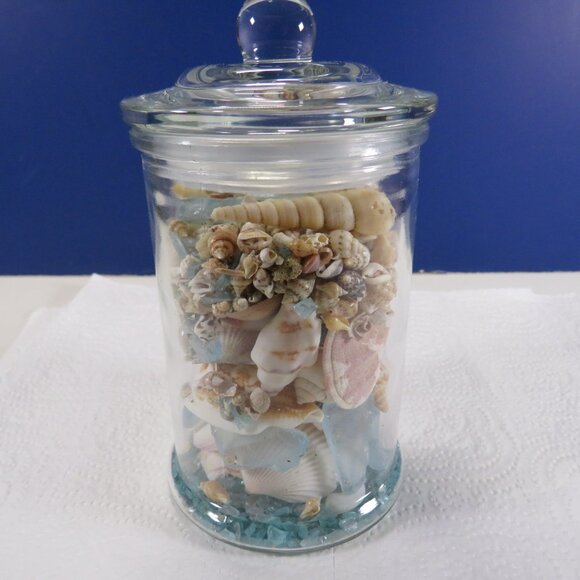 REAL sea shells in a New Glass Jar w seal & lid 5.75" tall (1+ pounds) - Picture 4 of 12